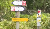 Excursión Bici de montaña Rimeize - Fait GTMC 2022 E1 2,5 b - Photo 17