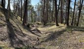 Tour Zu Fuß Brütten - Rundweg Winterthur - Photo 4