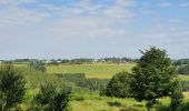 Tour Wandern Feitweiler - rando fauvillers 26 /06/2021 - Photo 5