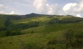 Trail On foot Unknown - Baru - Valea Barușorului - DF Corbu - Refugiul Tulișa - Photo 1