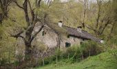 Randonnée A pied Bagno di Romagna - Nella solitaria, selvaggia valle di Pietrapazza - Photo 1