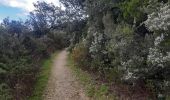Trail Walking Laroque-des-Albères - Laroque-des-Albères . ballade de 2 fontaines  - Photo 16