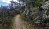 Tocht Stappen Laroque-des-Albères - Laroque-des-Albères . ballade de 2 fontaines  - Photo 16