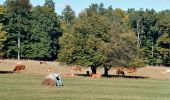 Randonnée A pied Sangerhausen - DE-Gelber Balken - Photo 7