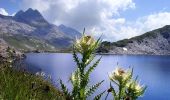 Tour Zu Fuß Quinto - Piora - Capanna Cadlimo - Photo 6