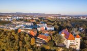 Tour Zu Fuß Kirchheim am Neckar - Kirchheimer Wanderweg - Photo 6