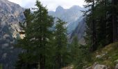 Trail Walking Saint-Martin-Vésubie - Cime de Piagu. Boreon - Photo 1