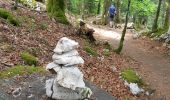 Excursión Senderismo Le Frasnois - Lac de Narlay - Pic de l'Aigle - Photo 10