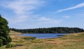 Tour Wandern Aumessas - Lac de Pises au départ Le Travers - Photo 12