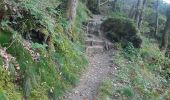 Tocht Stappen Vianden - vianden  .  bivels  .  vianden - Photo 6