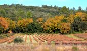 Randonnée Marche Gonfaron - Village - La Roquette - L'espine  - Photo 18