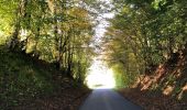 Excursión Senderismo Virton - La Charmouthienne_boucle_Ethe_15km_2019-10-13 - Photo 1