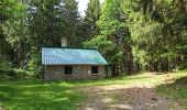 Excursión Senderismo Le Val-d'Ajol - 15-05-22 Outremont  - Photo 2