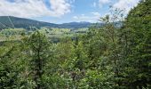 Excursión Senderismo Les Rousses - le lac des rousses et le fort du risoux - Photo 2