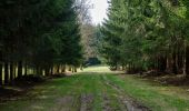 Tour Zu Fuß Libramont-Chevigny - Remagne étang gpx - Photo 6