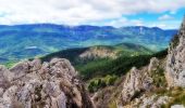 Tour Wandern Val-Buëch-Méouge - Crête de l'âne, des Planes et Roc de Gloritte Via Plaugiers - Photo 12