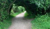 Randonnée Marche Perros-Guirec - Perros guirrec 1 - Photo 2