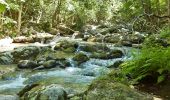 Randonnée Marche Thuès-Entre-Valls - gorge de la Carança  - Photo 8