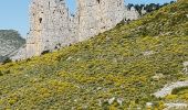 Trail Walking Castellane - Les cadières de Brandis - Photo 9