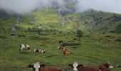 Tour Wandern Passy - J10 - R8 - Plaine Joux - Les Ayères - Lac Vert  - Photo 20