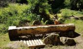Percorso Marcia Wildersbach - Wildersbach - col de la Perheux - cascade de la Serva - Champ du Feu - Photo 3