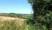 Tocht Stappen Olne - Du plateau à la vallée. Olne - Photo 5