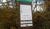 Trail Walking Oissel - 20231128-les essarts cool - Photo 13