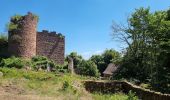 Percorso Marcia Ottrott - ARCA CHÂTEAU D'OTTROTT - Photo 8