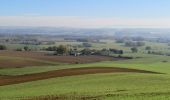 Tour Nordic Walking Florentin - Sentier des colombes Florentin - Photo 2