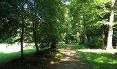 Randonnée A pied Villers-Cotterêts - le GR11A  dans la Forêt de Retz  - Photo 17