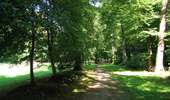 Tour Zu Fuß Villers-Cotterêts - le GR11A  dans la Forêt de Retz  - Photo 17