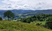 Trail Horseback riding Orbey - 2020-06-28 WE Orbey Petit Hohnack Glasborn - Photo 2