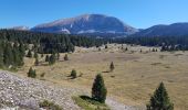 Tour Wandern Saint-Agnan-en-Vercors - Pas des chatons  depuis la coche - Photo 3