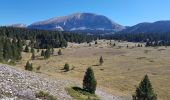 Trail Walking Saint-Agnan-en-Vercors - Pas des chatons  depuis la coche - Photo 3