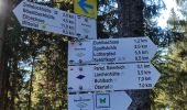 Trail On foot Baiersbronn - Obertal - Zuflucht - Photo 10