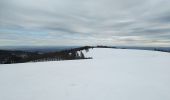 Tour Schneeschuhwandern Lepuix - Wissgrut - Photo 3