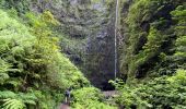 Tour Wandern Santana - Levada  - Photo 20