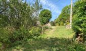 Randonnée Marche Fraissinet-de-Fourques - Nime le Vieux 10 km - Photo 15