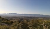 Trail Walking Puyloubier - Puyloubier - Hermitage de St. Ser- Col de Vauvenarguse - Pic des mouches - Puyloubier - Photo 18