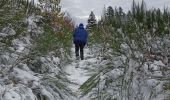 Tour Wandern La Montagne - 23/11/24 - Photo 1