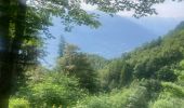 Randonnée Marche Cléry - Chalet de la balme col de la fougère  - Photo 8