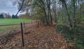 Tour Wandern Braine-le-Comte - le griffon du bois commun Hennuyères - Photo 2