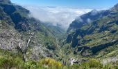 Tocht Stappen Curral das Freiras - Pico do Areeiro - Photo 3