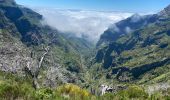 Percorso Marcia Curral das Freiras - Pico do Areeiro - Photo 3