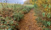 Tocht Stappen Namen - Namur Marche - Photo 1