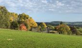 Excursión Senderismo Virton - La Charmouthienne_boucle_Ethe_15km_2019-10-13 - Photo 11