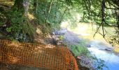 Trail Walking Bouillon - Botassart 160923 - Photo 6