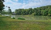 Trail Walking Villechauve - Villechauve 41310 - Photo 19