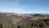 Trail Walking Châtillon-en-Diois - le sommet serre du beau puy - Photo 17