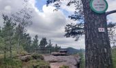 Randonnée Marche Reinhardsmunster - 2019-08-15 Marche Schaerferplatz Geissfels Ochsenstein - Photo 2